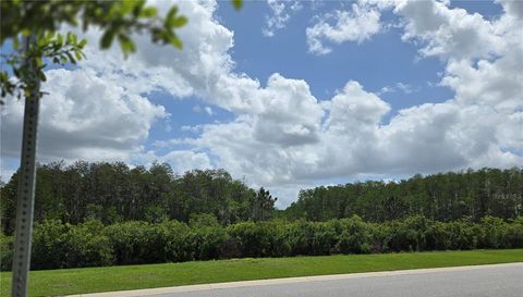 4543 STORYTELLING WAY