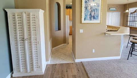 3145 Twisted Oak Loop