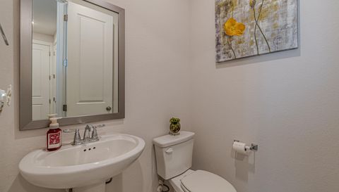 428 Trailing Lantana Ln