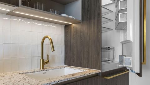 159 NE 6th St Penthouse 5008