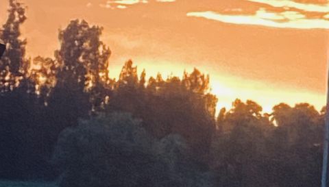 1071 S Header Canal Rd